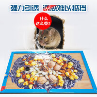 2025年度十款熱門粘鼠板產(chǎn)品榜 居家防鼠，值得入手的強力推薦