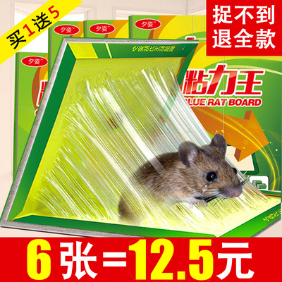 虎貓汽車驅(qū)鼠器360購(gòu)物全面指南 超聲波技術(shù)解析與360購(gòu)物現(xiàn)場(chǎng)測(cè)試對(duì)比粘鼠板汽車使用，買不買先看，體驗(yàn)真實(shí)